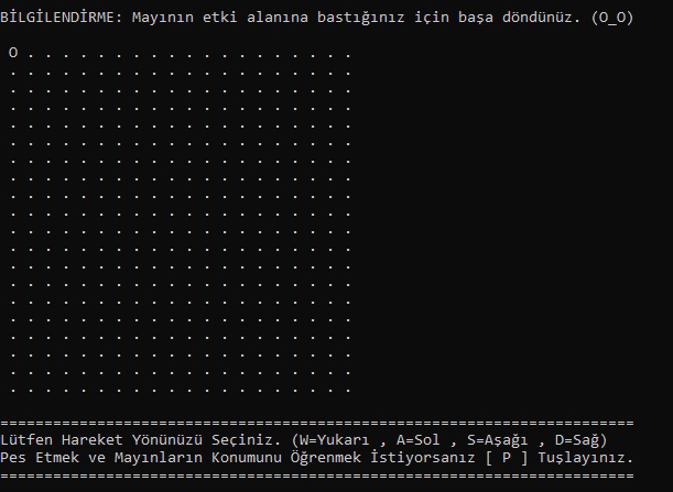 Ekran Görüntüsü